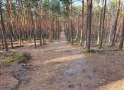 Z Tygrysiej Góry 98,8m, GFS