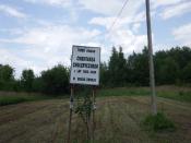 cm. choleryczny