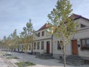 Kamienice