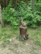 352437052_3113227728821011_7074459643086526170_n