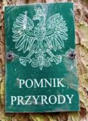 Tak wygląda znaczek pomnika na P3
