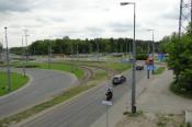 żaba