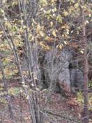 IMG_20221016_133159