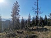 Widok ze schroniska 