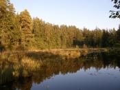 Kruglak