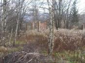 Widok  z drogi w stronę kesza