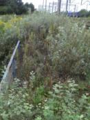Widok granicy