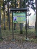 To drzewo pośrodku tablicy