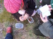 Cache