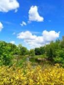 zdjęcie zrobione latem 