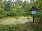 Punkt czerpania wody