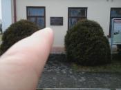 tablica