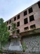 Drzewo wyrasta ze ściany.