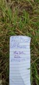 Wpis w logbook