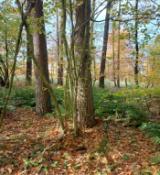 Screenshot_20251101_223724_cgeo