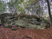 IMG_20221016_143544
