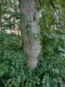 strefa poszukiwań