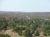 Widok na wrzosowiska.