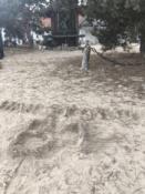 HailstormB1