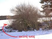 Nr2 zacznij tu