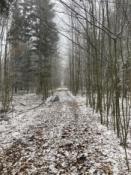 torowisko
