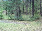 widok od strony skrzynki