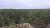 Widok