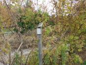 zniszczona tabliczka 