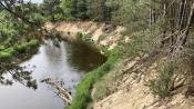 Widok ze skarpy