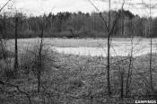 Kampinoskie mokradła nr 5 SADYKIERSKIE MOCZARY a