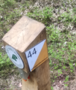 s.44