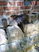 IMG_20240610_140858_855