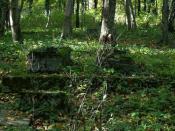 Jeden z wielu zachowanych.