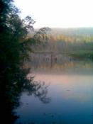 cudne manowce...