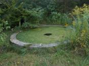 Sadzawka Mrocznych Mocy