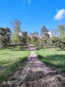 w drodze pod górkę