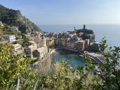 widok z poziomu ścieżki