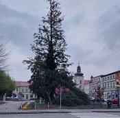 Rynek