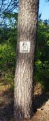 IMG_20240922_155223