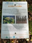  informacja