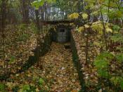Podziemna krypta - odsłona jesienna
