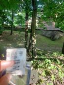 RADRUŻ– cerkiew pw. św. Paraskawy - OP7769