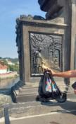 Praha