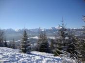 Widoczek z miejsca ukrycia kesza.