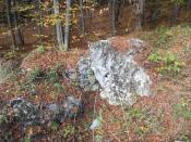 IMG_20221016_133125