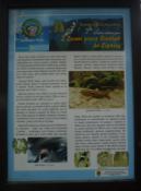 Tablica - tego szukaj na szlaku