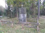 Przy drodze do Mikaszówki