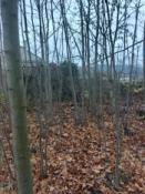 Gdzieś tam jest kesz. 