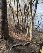 Okolice kesza z daleka,