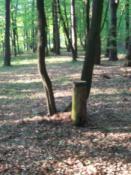 jesteś na dobrej drodze...